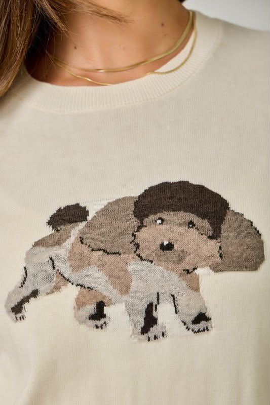 Suéter perrito